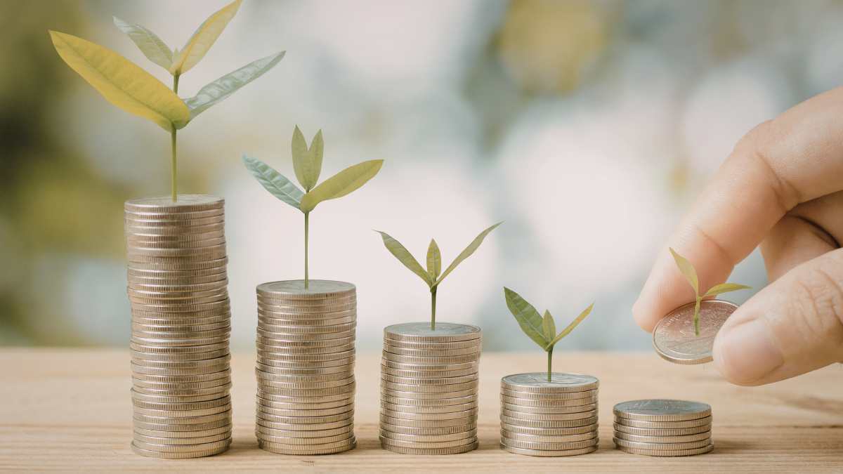 Sovereign Wealth Fund